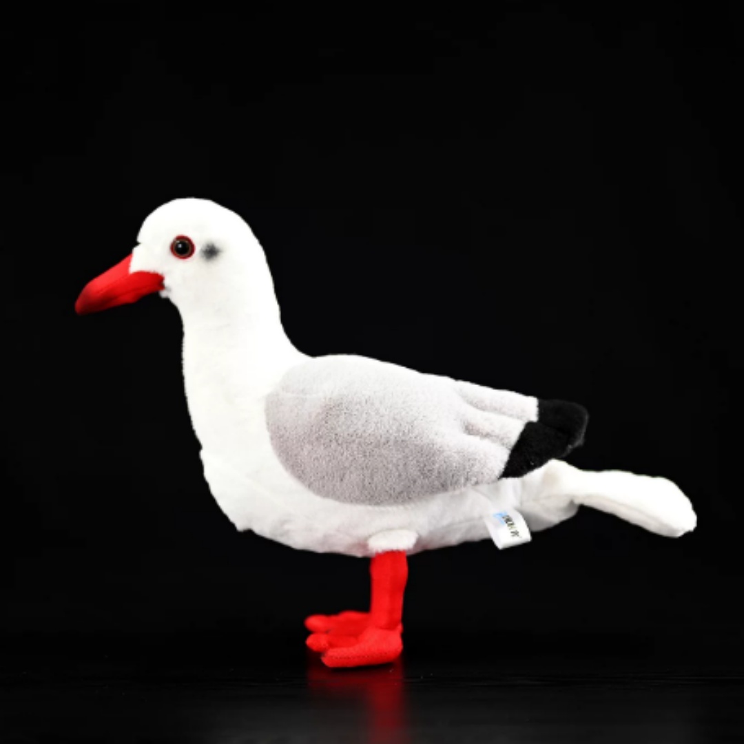 Red-Billed Gull Plush
